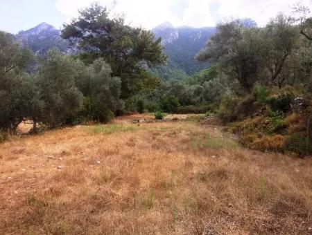 Orhaniye Marmaris Stadtteil Bezirk Ackerland Zum Verkauf, 400 M2