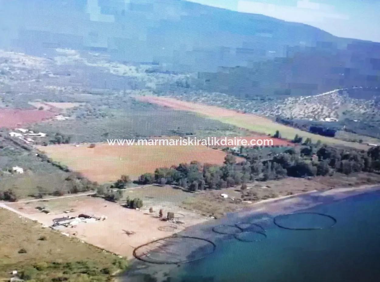 Land For Sale In Milas Kıyıkşlacik Area Suitable For Major Projects With 712000M2 Tourism And Residential Development