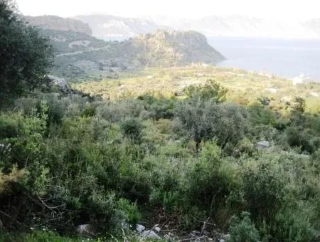 15000M2 Land For Sale With Sea Views At Kumlubük Bay, Marmaris