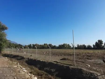 32000M2 Arable Avocados, Greenhouse Construction, Farms, Suitable For Livestock Land In Köyceğinz Döğüşbelen