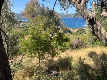 Land For Sale In Marmaris Selimiye Neighborhood With Sea View 5200M2 Suitable For The Construction Of 2 Villas Or Hotel Construction