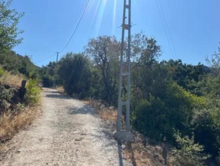 Land For Sale In Marmaris Selimiye Neighborhood With Sea View 5200M2 Suitable For The Construction Of 2 Villas Or Hotel Construction