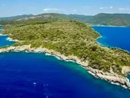 The Island For Sale In The Gulf Of Gökova In Marmaris District Has A Land Area Of 365000M2 And There Is A Registered House In It.