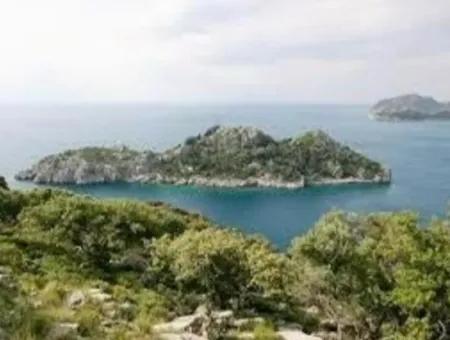 81000M2 Island For Sale In Marmaris Region 31000M2 Title Deed Official Electricity Water Available Manor House With Legal House In It