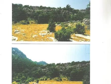 Kumlubük Koyunda Deniz Manzaralı 11000 M2 Satılık Arsa