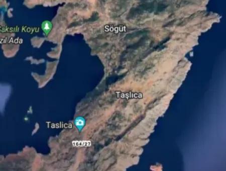 Marmaris Taşlıca Köyünde Yolu Mevcut 1500M2 3 Tapu Satılık Tarla