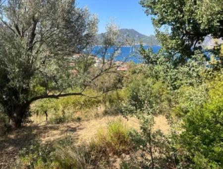 Marmaris Selimiye Mahallesinde Deniz Manzaralı 5200M2 Satılık Arsa 2 Villa Yapımına Yada Otel Yapımına Uygun Gayrimenkul